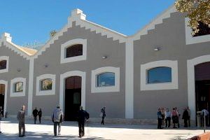 El Consorci de Museus refuerza las actividades culturales en Alicante