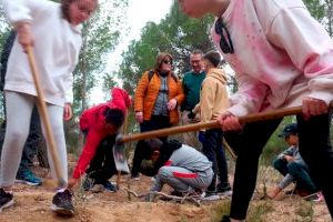 Un centenar de alumnos de Primaria reforestan un espacio de El Moralet con árboles y plantas mediterráneas