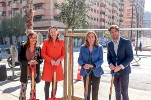 El Ayuntamiento de Valencia comienza la plantación de más de 200 árboles en 11 distritos de la ciudad
