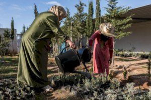 El alimento que nos une, una mostra del paper de les dones rurals en la sostenibilitat socioecològica del Marroc