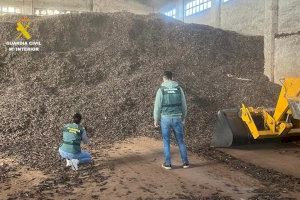 Cuatro detenidos en Vinaròs por robar una montaña de olivos y algarrobas: acumulan 37 toneladas