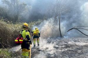 Estabilitzat l'incendi forestal de Fanzara: obrin al trànsit la CV-194