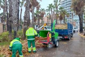 Oropesa del Mar continúa los trabajos de jardinería en el municipio