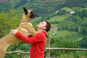 La benvinguda a casa: Consells per a l'adaptació de gossos recentment adoptats