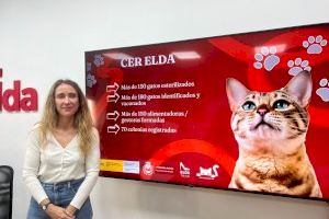 El Ayuntamiento de Elda pone en marcha el protocolo CER para mejorar la gestión ética de las colonias felinas de la ciudad