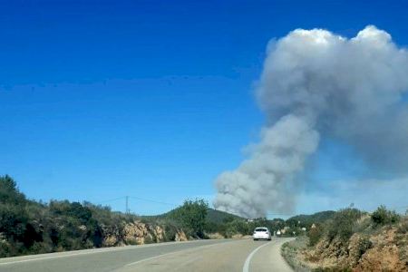 VIDEO | 80 desalojados por el incendio en el Parque Natural del Turia en Vilamarxant
