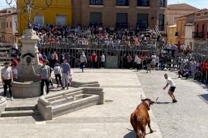 La capital del toro empieza la temporada taurina de 2024: hora y día del primer toro cerril