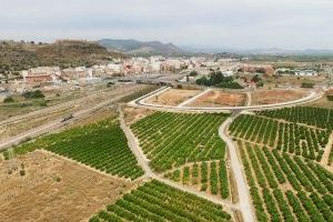 Sagunt aprova instar la Generalitat que impulse i reforce el desplegament de polítiques públiques que protegisquen el sector agrari