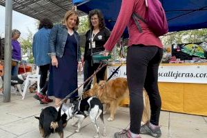 Éxito de asistencia al Festival de Adopción donde varios perros y gatos han conseguido un nuevo hogar en Benicàssim