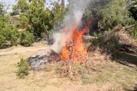 La Generalitat Valenciana suspende las quemas agrícolas hasta el 15 de octubre para evitar más incendios