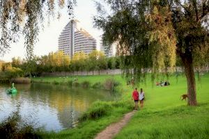 Parques y Jardines de Valencia adjudica los proyectos de renovación del tramo Bofill y del Parque de Cabecera de los Jardines del Turia