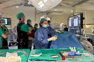El Peset y el Clínico forman a cirujanos vasculares de España en tratamiento endovascular de aneurismas de aorta complejos