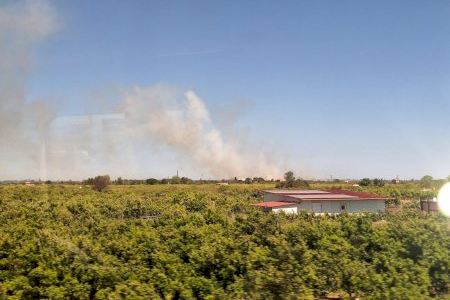 Incendio en una zona de huertos entre Burriana y Vila-real: el fuego ha arrasado tres hectáreas