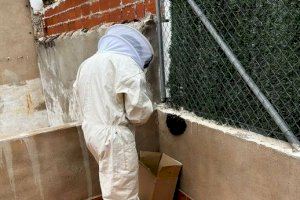 De policia a apicultor: un agent es transforma per a combatre els eixams en la via pública de Borriana