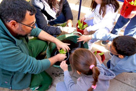 El servicio de jardinería de Benesermu planta lechugas con el alumnado del CEIP Vicent Ricart de Benetússer