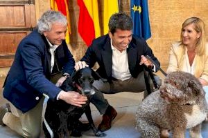 Carlos Mazón: “Reforzamos la protección animal y nos situamos en la vanguardia de la lucha contra el abandono de animales”