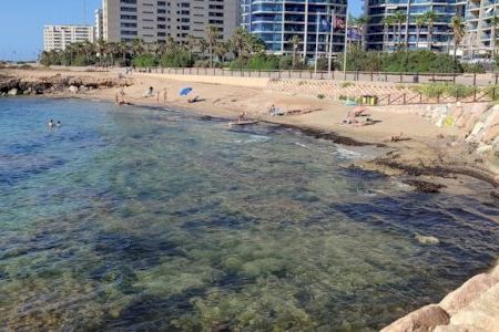 Torrevieja renueva las seis banderas azules de sus playas