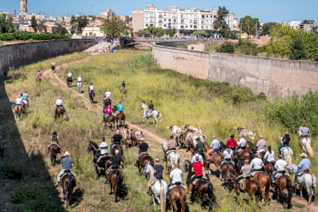 Vuelve el encierro campero para las Fiestas de la Misericòrdia de Burriana Vuelve el encierro campero para las Fiestas de la Misericòrdia de Burriana