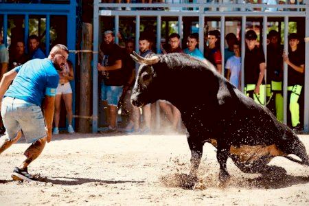 Burriana vibra con el encierro de toros de La Espuela en las Fiestas de la Misericordia Burriana vibra con el encierro de toros de La Espuela en las Fiestas de la Misericordia