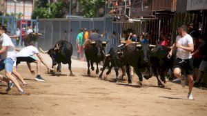 Vila-real gaudeix d'un matí taurí en les festes de Sant Pasqual