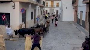 Susto en los 'bous al carrer' de Massamagrell al caer un hombre desde una señal encima de los toros