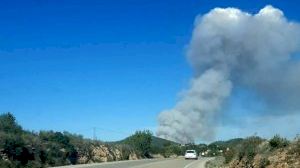 Se desata un incendio en el Parque Natural del Turia en Vilamarxant
