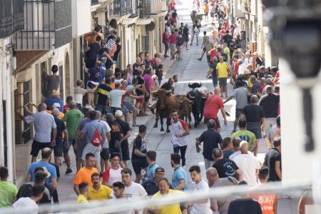 La Diputación de Castellón incrementa un 55,5% las ayudas a las asociaciones taurinas de la provincia