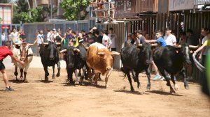Vila-real - Sant Pasqual 2022 - Entrada vaques