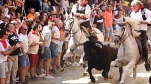 Entradas de Toros y Caballos de Segorbe 2025