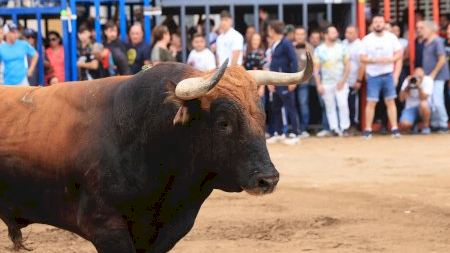 Primer encierro de toros de la Fira d'Onda 2025