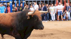 Primera entrada de bous de la Fira d'Onda 2025