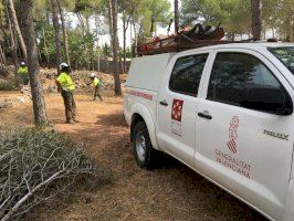 La Diputación prepara el desbroce y limpieza de cunetas del vial Cabanes-Oropesa