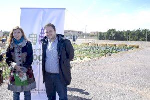 Castelló otorga 35.000 euros para el huerto social con fines de inclusión social de Mas d’en Riera