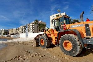 Comienza la regeneración de la Playa de Los Locos de Torrevieja con la aportación de 12.000 metros cúbicos de arena
