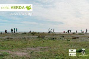 La Colla Verda convoca a la ciudadanía a la tercera plantación de flora dunar