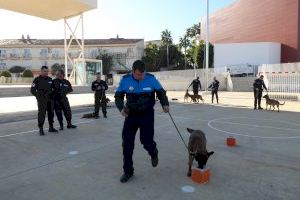 42 policías y 60 perros se “forman” en La Nucía
