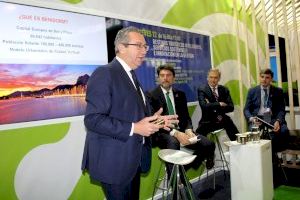 Benidorm será el primer destino turístico en implantar un plan integral para combatir el cambio climático