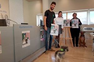 Bienestar Animal emprende una campaña a favor de la adopción y contra el abandono de mascotas