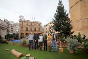 Seis jardines efímeros y sostenibles para la decoración navideña de Castelló