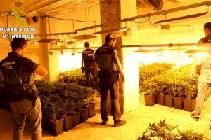 La Guardia Civil desmantela una plantación de 3.000 plantas de marihuana en un polígono de la Alcudia en Alfafar