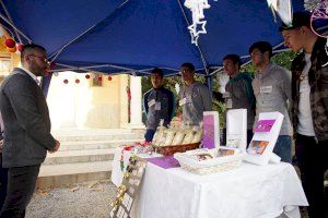 Éxito del I Mercado Solidario Navideño de Fundación Flors a beneficio de ONG locales en Vila-real