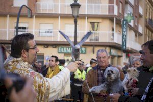 Valencia celebrará Sant Antoni con una feria animalista y un concierto "pet friendly"
