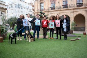 Bienestar Animal y las protectoras de Castelló lanzan la campaña 'Mejor Adoptar'