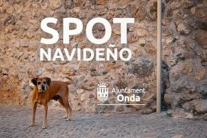 El vídeo de Navidad del Ayuntamiento de Onda se convierte en viral y consigue repercusión nacional sobre la adopción de animales