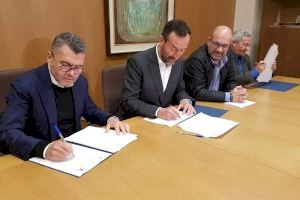 El Ayuntamiento de Elche destina 30.000 euros a la promoción y el cultivo sostenible de la granada mollar