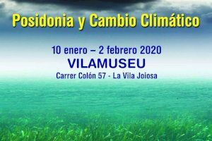 "Posidonia y Cambio Climático" del Instituto de Ecología Litoral se expone en la Sede Universitaria de la Vila