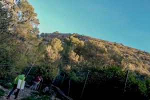 Ròtova recupera la senda botànica del barranc d’Atanasi