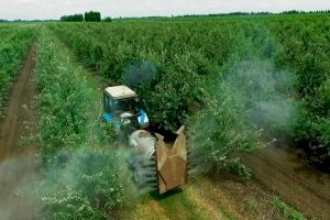 La Comisión Europea prohíbe el clorpirifós y el metil clorpirifós pero los productos agrícolas importados podrán seguir entrando en los mercados de la UE con esas sustancias activas