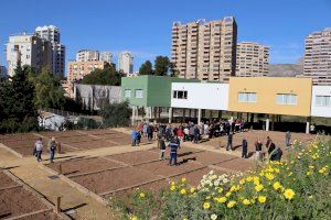 Medio Ambiente abre los nuevos huertos urbanos de La Cala de Benidorm