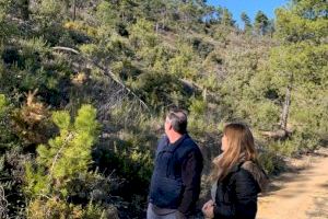 Elisa Díaz denuncia la “lamentable” situación de los montes valencianos, “abandonados por el Consell”